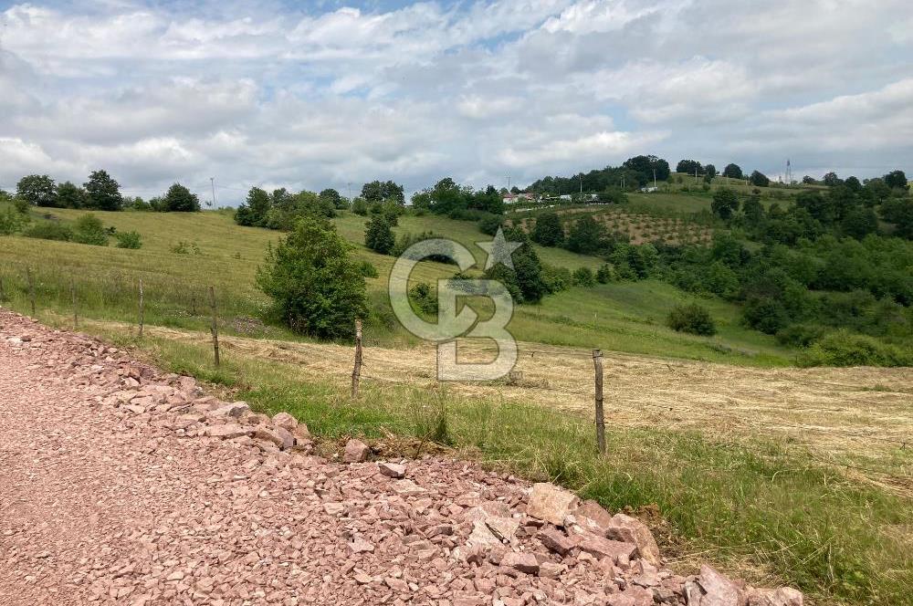 İZMİT GÖKÇEVİRAN YOL KENARI DOĞALGAZ ELEKTRİK OLAN SATILIK TARLA