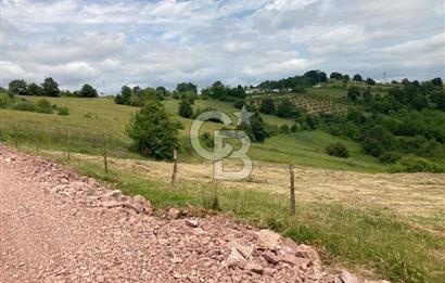 İZMİT GÖKÇEVİRAN YOL KENARI DOĞALGAZ ELEKTRİK OLAN SATILIK TARLA