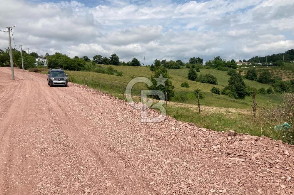 İZMİT GÖKÇEVİRAN YOL KENARI DOĞALGAZ ELEKTRİK OLAN SATILIK TARLA