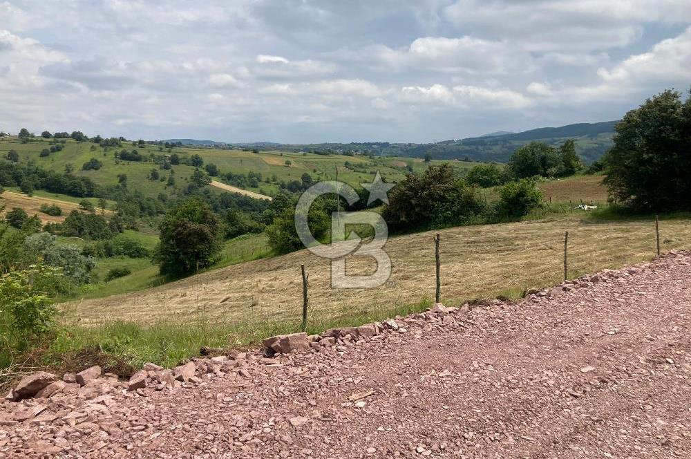 İZMİT GÖKÇEVİRAN YOL KENARI DOĞALGAZ ELEKTRİK OLAN SATILIK TARLA