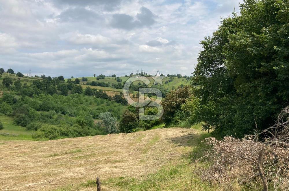 İZMİT GÖKÇEVİRAN YOL KENARI DOĞALGAZ ELEKTRİK OLAN SATILIK TARLA