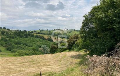 İZMİT GÖKÇEVİRAN YOL KENARI DOĞALGAZ ELEKTRİK OLAN SATILIK TARLA