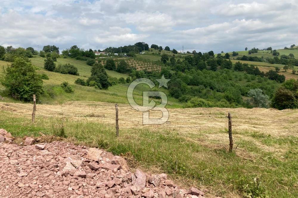 İZMİT GÖKÇEVİRAN YOL KENARI DOĞALGAZ ELEKTRİK OLAN SATILIK TARLA