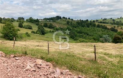 İZMİT GÖKÇEVİRAN YOL KENARI DOĞALGAZ ELEKTRİK OLAN SATILIK TARLA