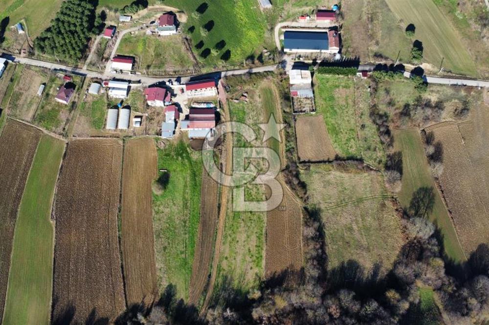 İZMİT SÜVERLER'DE SATILIK 3.241 m2 TARLA