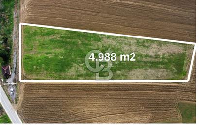KANDIRA SARIGAZİ'DE SATILIK 4.988 m2 FIRSAT TARLA