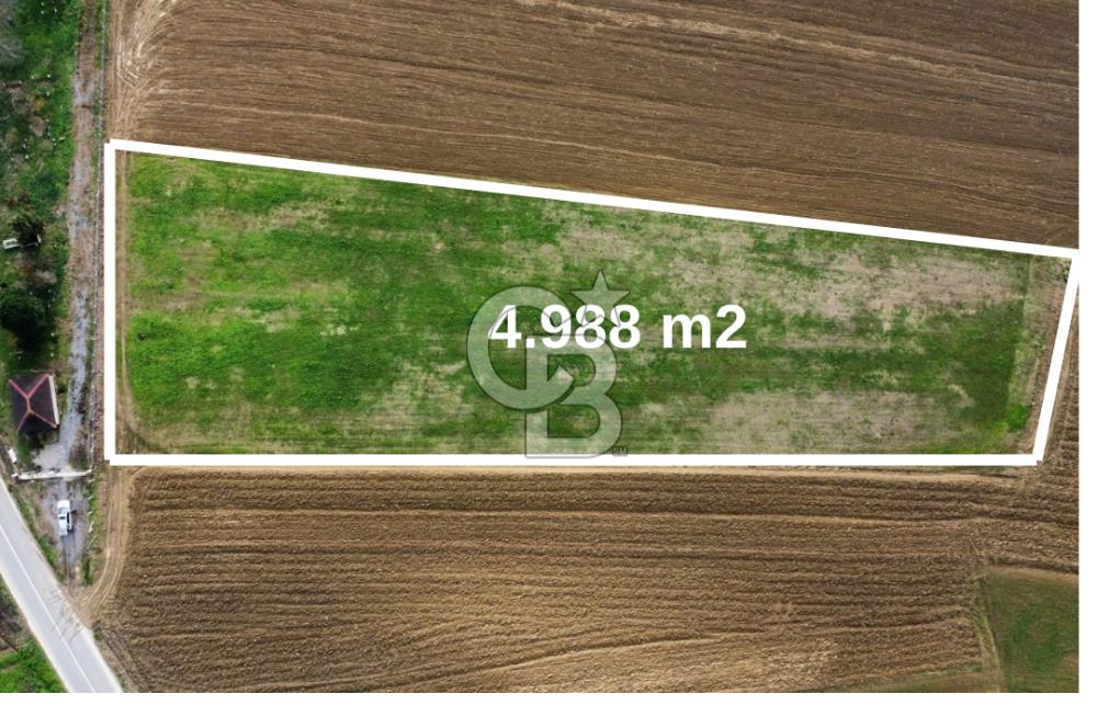 KANDIRA SARIGAZİ'DE SATILIK 4.988 m2 FIRSAT TARLA