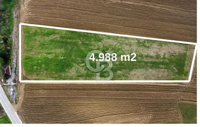 KANDIRA SARIGAZİ'DE SATILIK 4.988 m2 FIRSAT TARLA