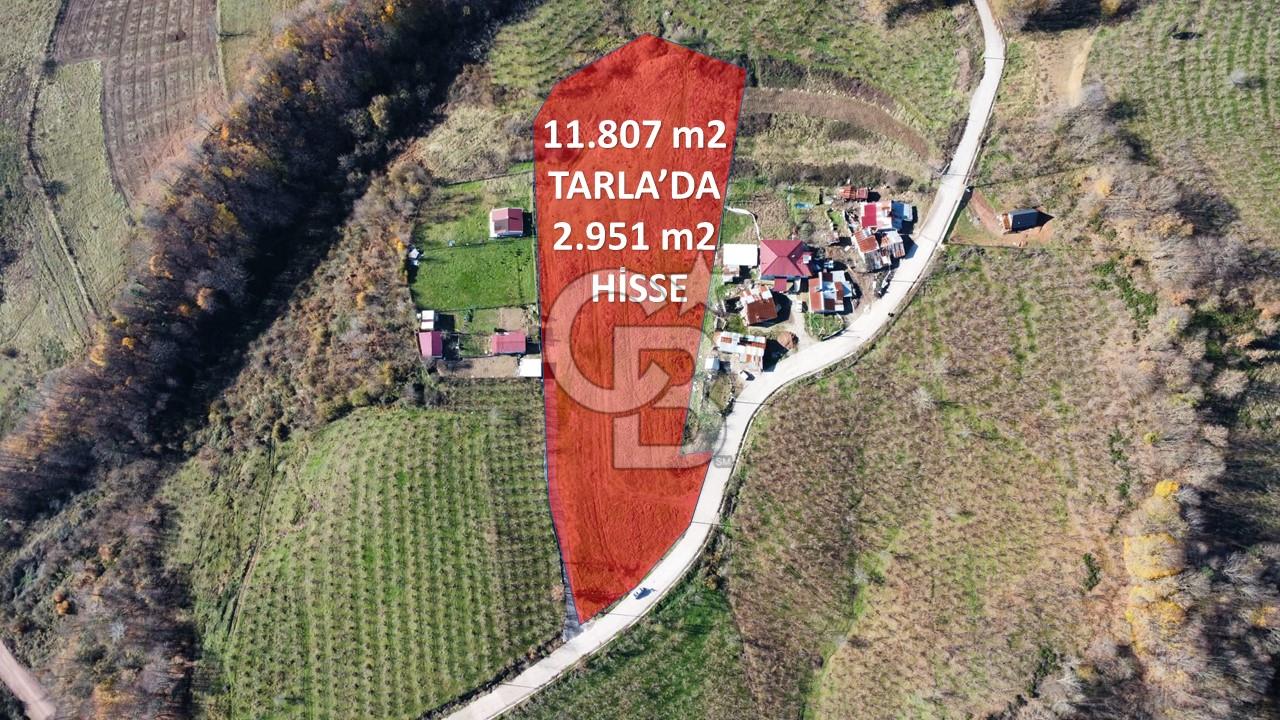ARPALIKİHSANİYE'DE KÖY YERLEŞİM ALANINDA SATILIK 2.951 m2 TARLA