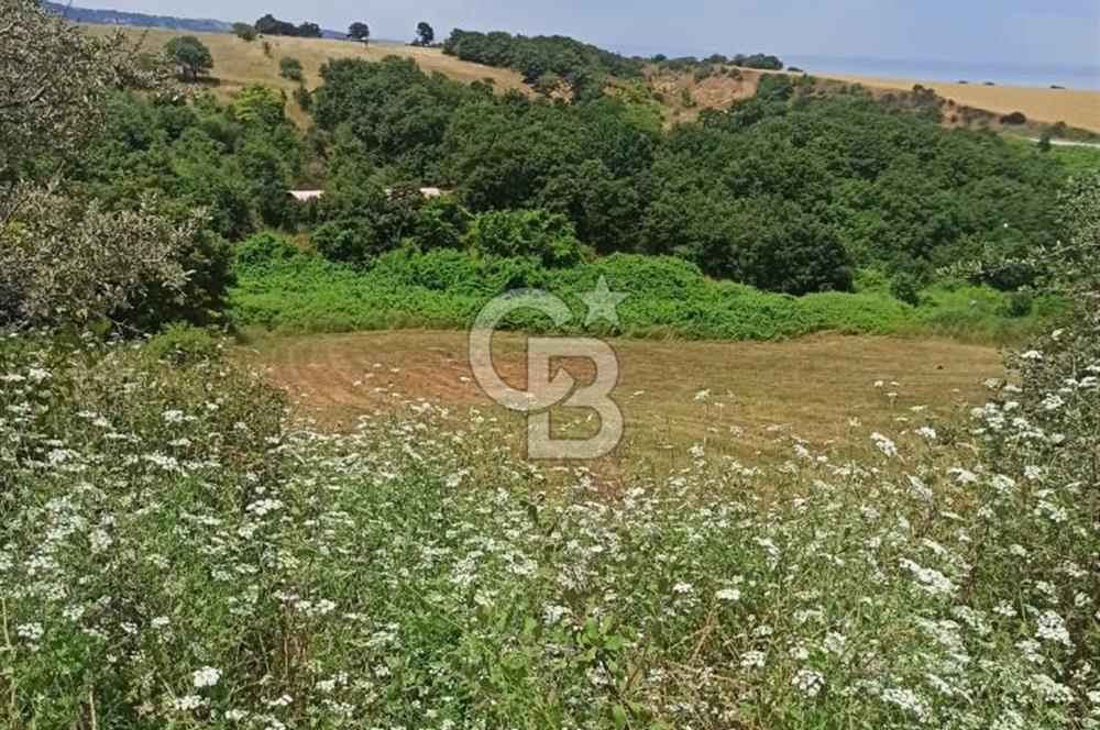 Çanakkale Lapseki Güreci’de Deniz Manzaralı Satılık Tarla