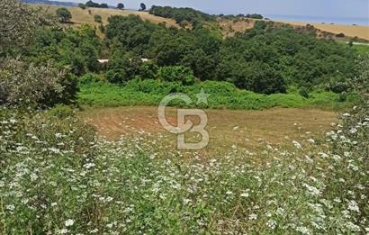 Çanakkale Lapseki Güreci’de Deniz Manzaralı Satılık Tarla