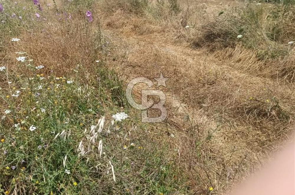 Çanakkale Lapseki Güreci’de Deniz Manzaralı Satılık Tarla