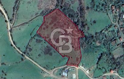 Çanakkale Çan Bardakçılar Satılık 16.500 m2 Arazi