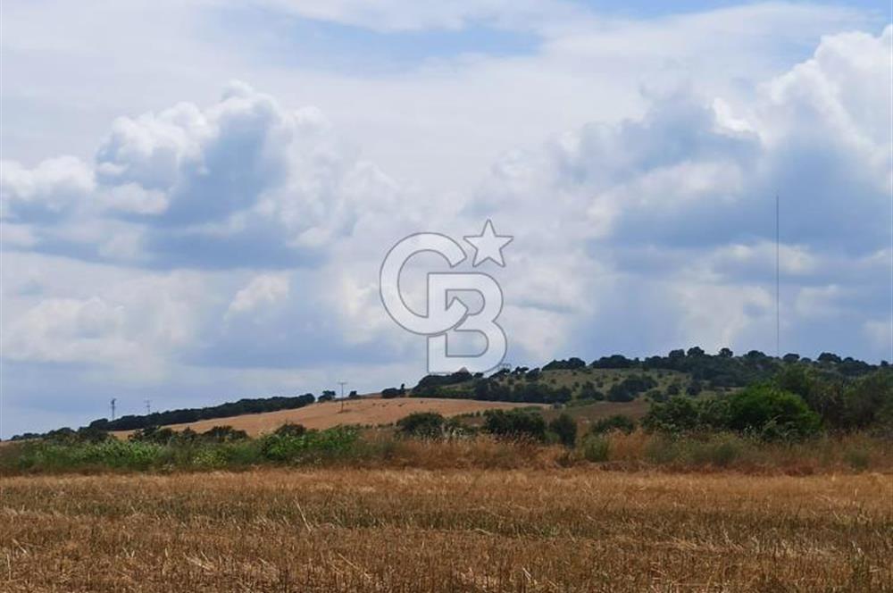 Çanakkale Lapseki Güreci’de Deniz Manzaralı Satılık Tarla