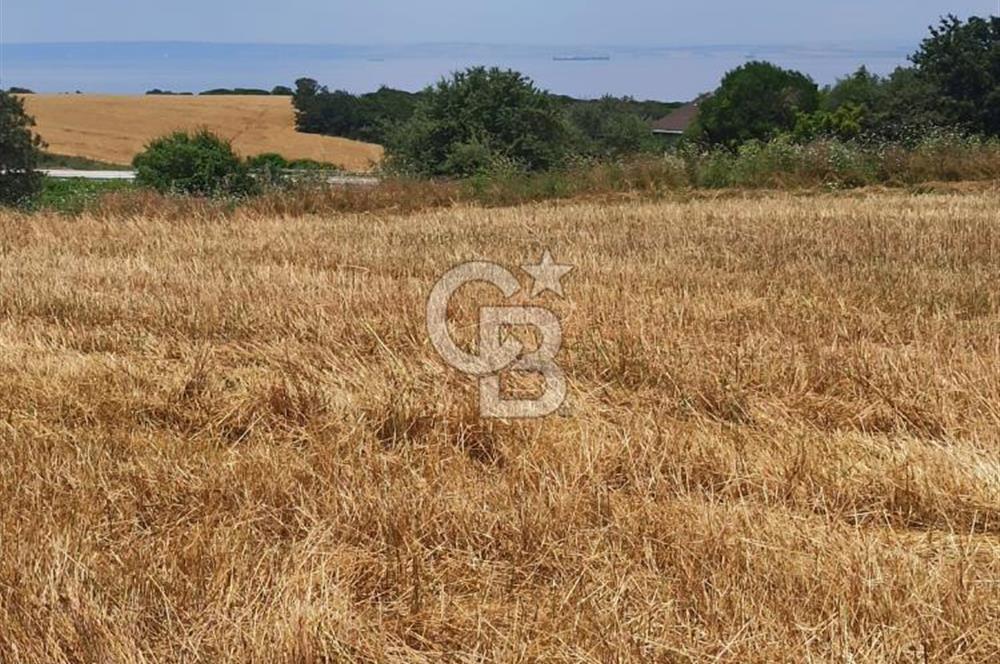 Çanakkale Lapseki Güreci’de Deniz Manzaralı Satılık Tarla