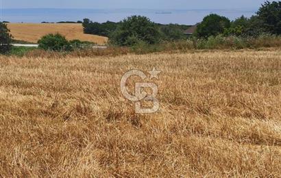 Çanakkale Lapseki Güreci’de Deniz Manzaralı Satılık Tarla