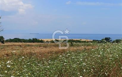 Çanakkale Lapseki Güreci’de Deniz Manzaralı Satılık Tarla