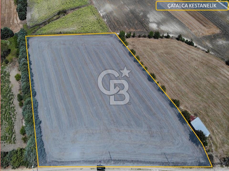 Çatalca kestanelik 10114m2 satılık tarla