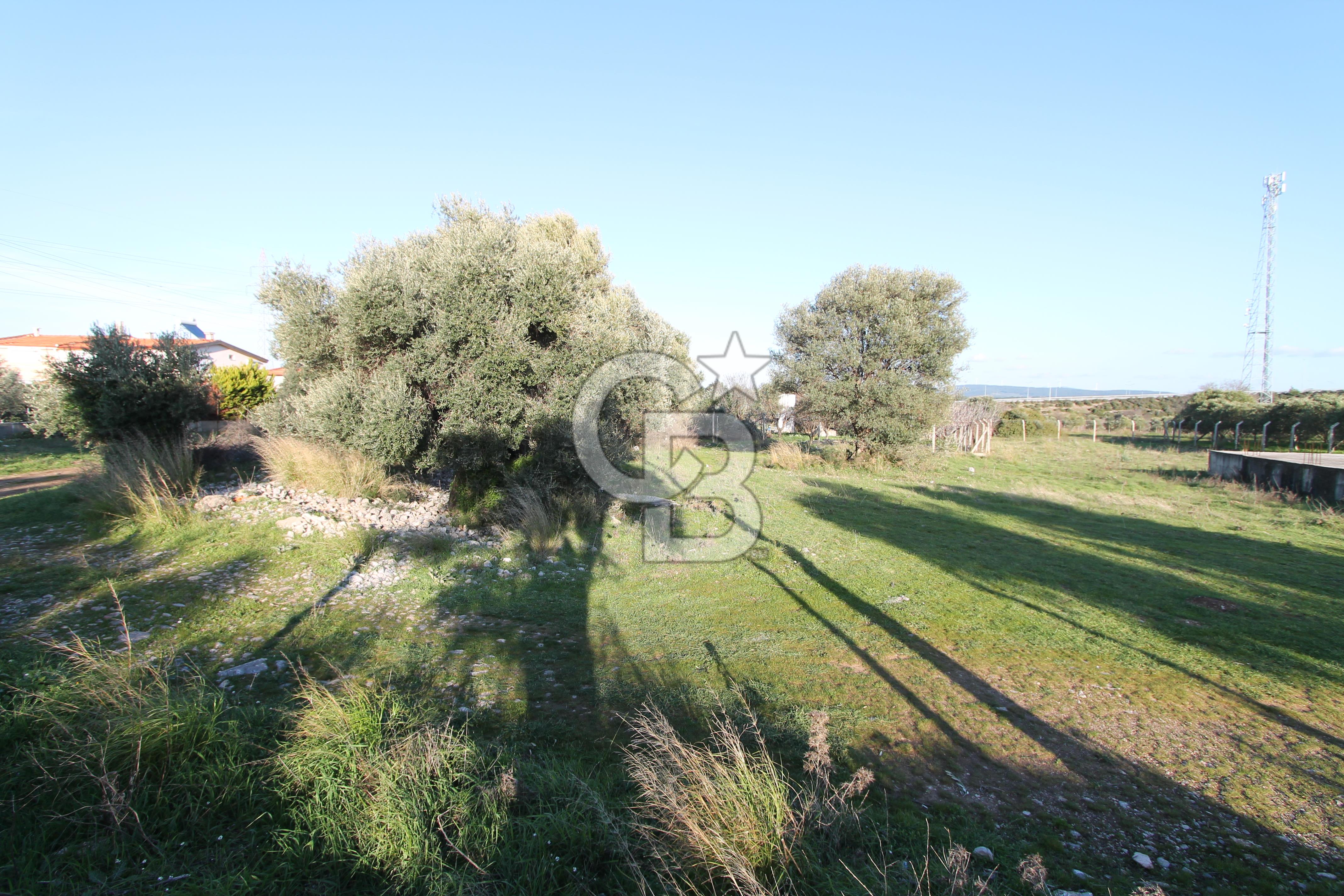 Urla ‘da Satılık Malikane Arsası – Karaburun Gişelerinin Yanında