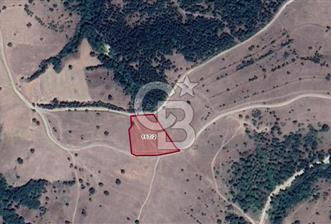 Balıkesir Savaştepe'de Satılık 5.980 m2 Fırsat Tarla