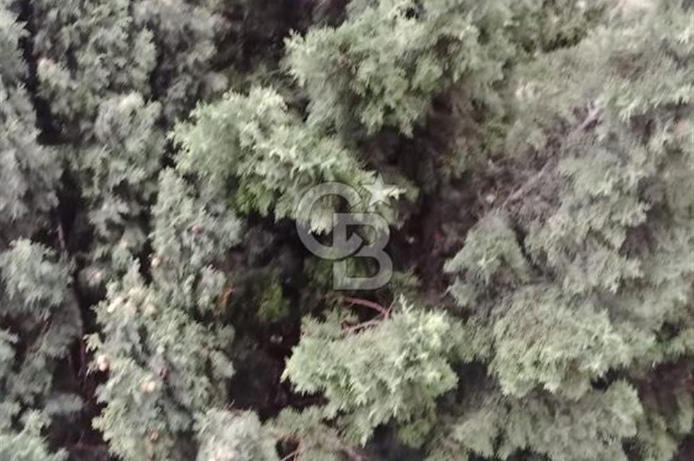 CB SE7EN'DAN BEYLİKDÜZÜ MARMARA MAHALLESİ SATILIK DUBLEKS