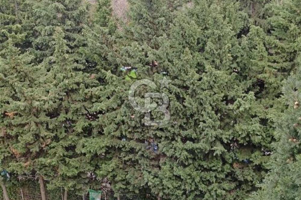 CB SE7EN'DAN BEYLİKDÜZÜ MARMARA MAHALLESİ SATILIK DUBLEKS