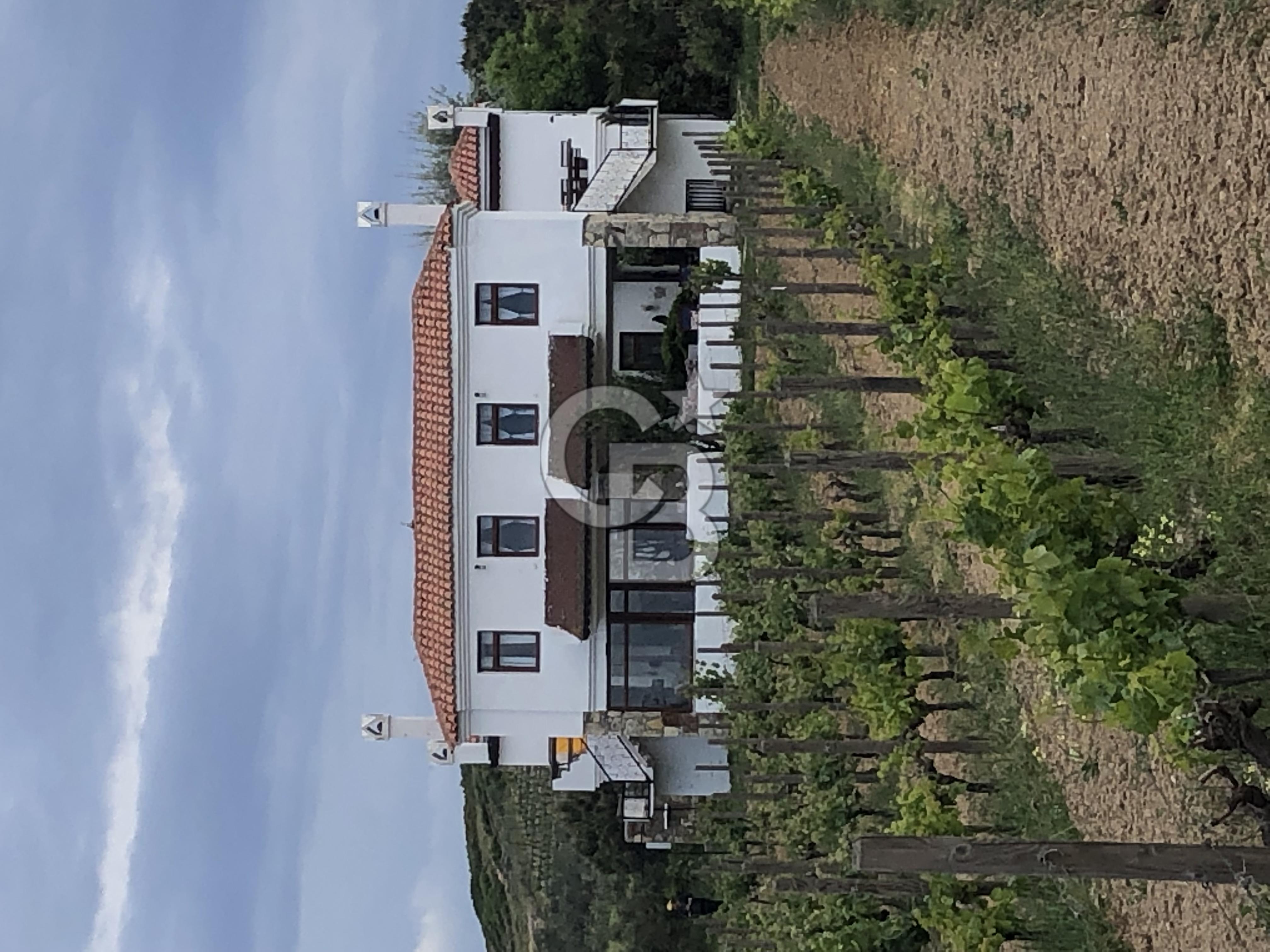 Bozcaada Çayır Mevkiinde Denize 600m mesafede 9 odalı Bağevi/Otel