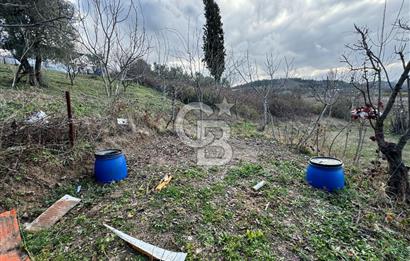 OSMANGAZİ SEÇKÖY DE MÜSTAKİL TAPULU İÇİNDE EV OLAN HOBİ BAHÇESİ