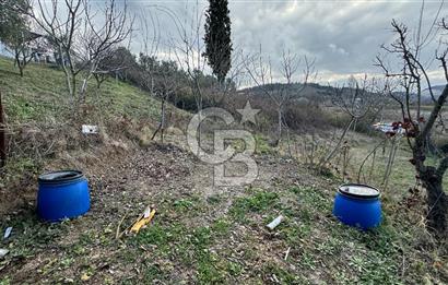OSMANGAZİ SEÇKÖY DE MÜSTAKİL TAPULU İÇİNDE EV OLAN HOBİ BAHÇESİ