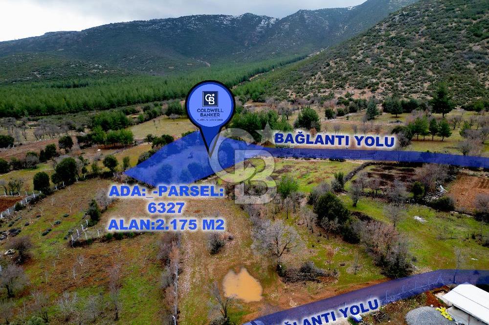 DENİZLİ Tavas Merkeze Yakın Satılık Bağlar 