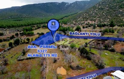 DENİZLİ Tavas Merkeze Yakın Satılık Bağlar 