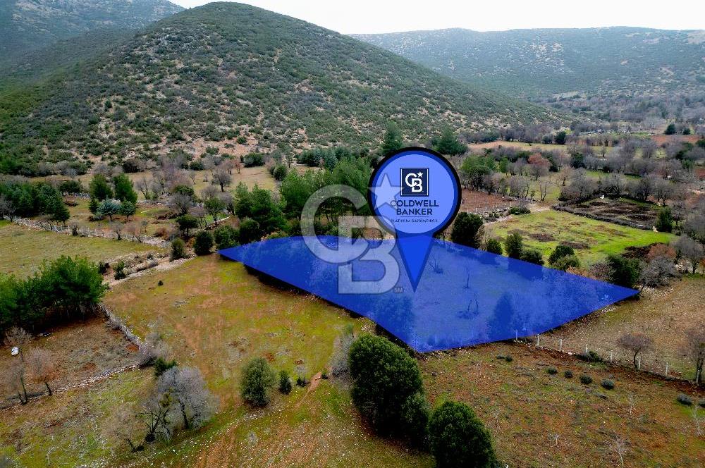 DENİZLİ Tavas Merkeze Yakın Satılık Bağlar 