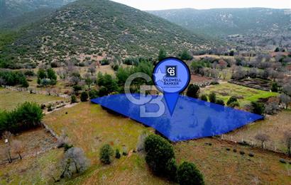 DENİZLİ Tavas Merkeze Yakın Satılık Bağlar 