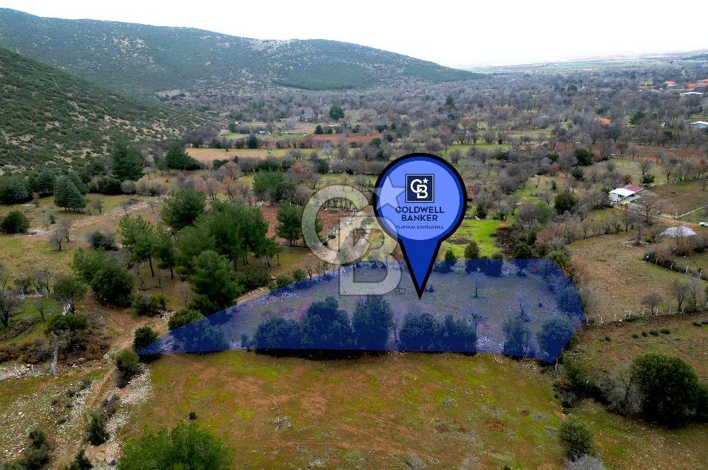 DENİZLİ Tavas Merkeze Yakın Satılık Bağlar 