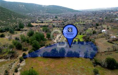 DENİZLİ Tavas Merkeze Yakın Satılık Bağlar 