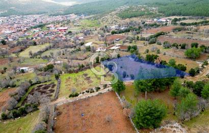 DENİZLİ Tavas Merkeze Yakın Satılık Bağlar 