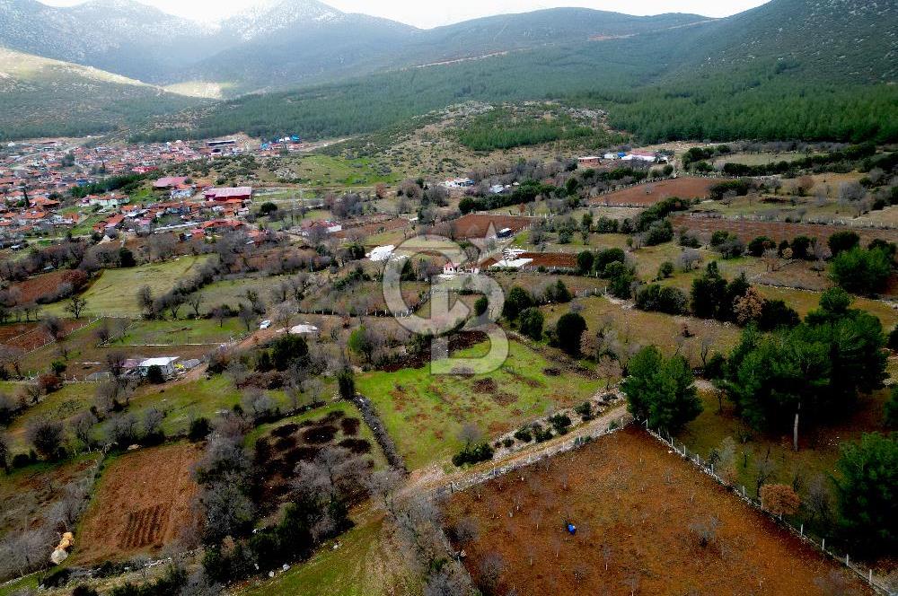 DENİZLİ Tavas Merkeze Yakın Satılık Bağlar 