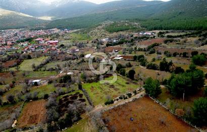 DENİZLİ Tavas Merkeze Yakın Satılık Bağlar 