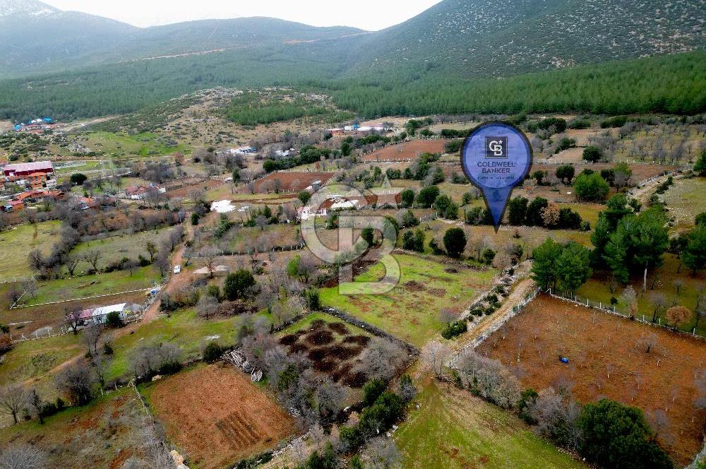 DENİZLİ Tavas Merkeze Yakın Satılık Bağlar 