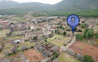 DENİZLİ Tavas Merkeze Yakın Satılık Bağlar 