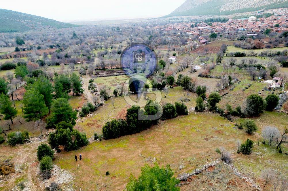 DENİZLİ Tavas Merkeze Yakın Satılık Bağlar 