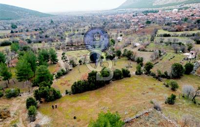 DENİZLİ Tavas Merkeze Yakın Satılık Bağlar 