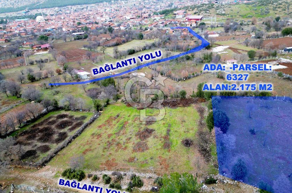 DENİZLİ Tavas Merkeze Yakın Satılık Bağlar 