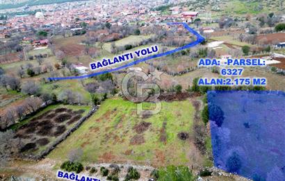 DENİZLİ Tavas Merkeze Yakın Satılık Bağlar 