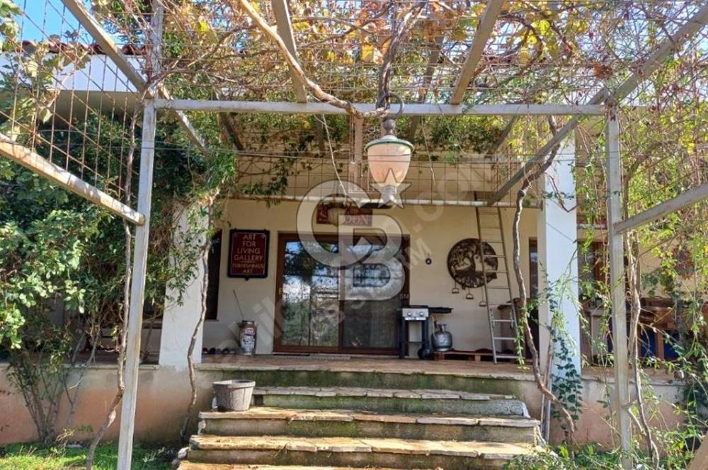 Urla Zeytineli'nde Satılık Tarla