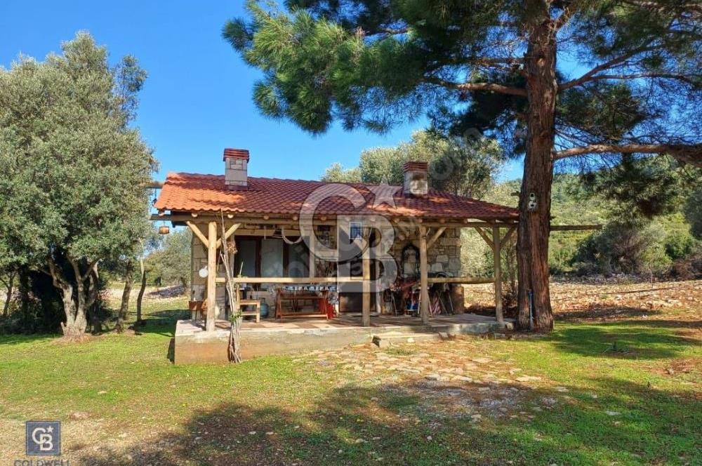 Urla Zeytineli'nde Satılık Tarla