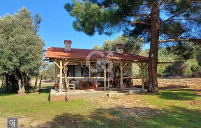 Urla Zeytineli'nde Satılık Tarla