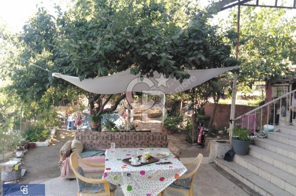 Hacılar Hasandağı Mevkiinde Satılık Bağ 1600m2 Arsalı