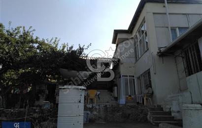 Hacılar Hasandağı Mevkiinde Satılık Bağ 1600m2 Arsalı