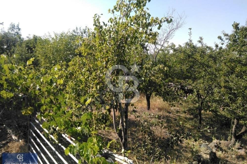 Hacılar Hasandağı Mevkiinde Satılık Bağ 1600m2 Arsalı